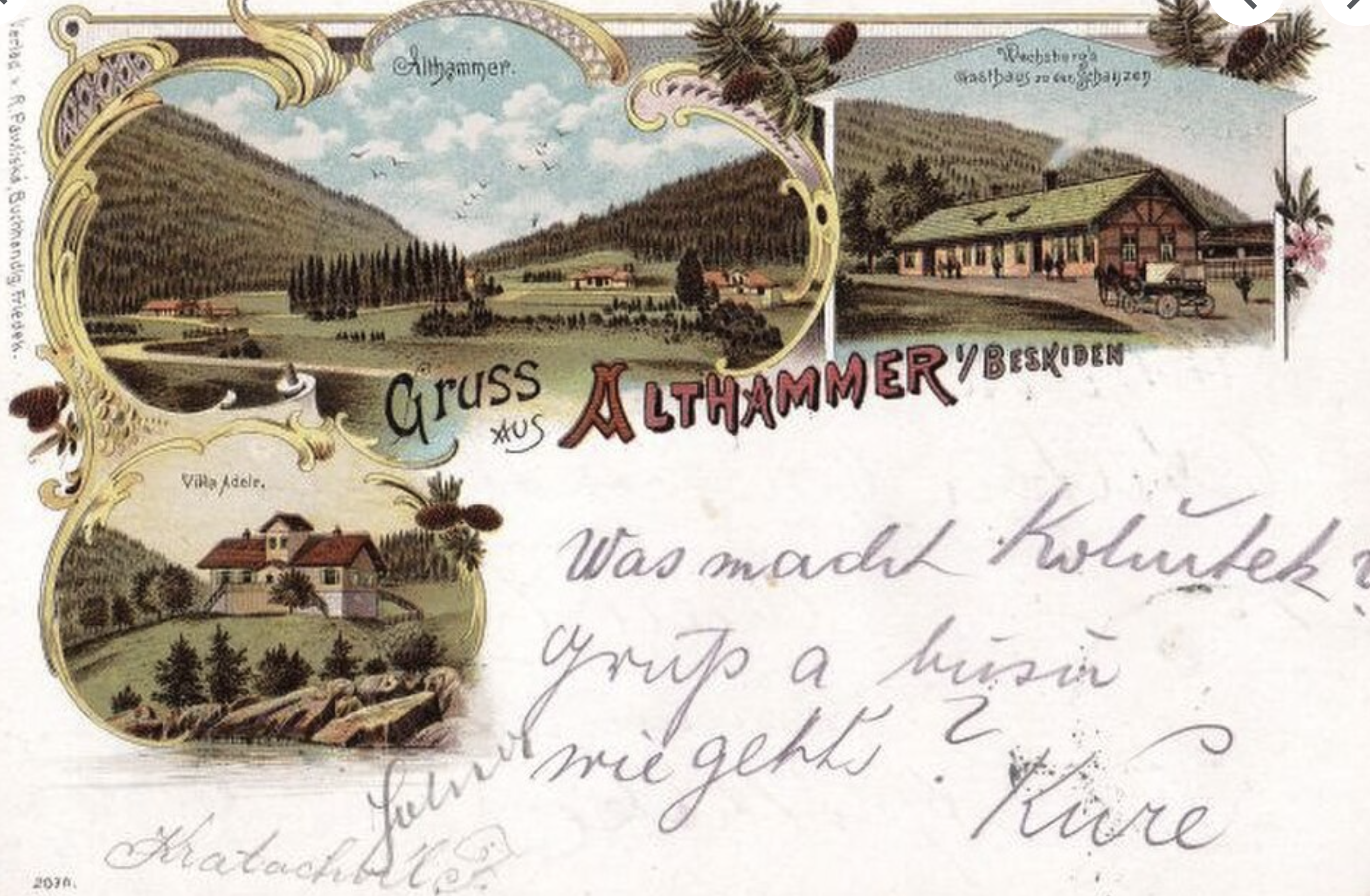 Staré Hamry, 1901